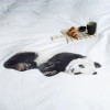 Постільний комплект SNURK Lazy Panda білий